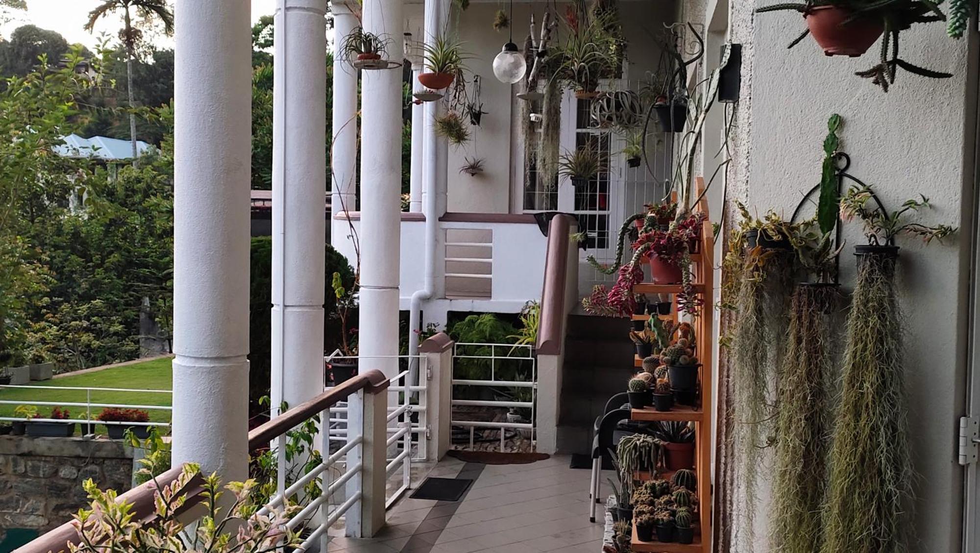 Marvel Hills Kandy Exterior photo